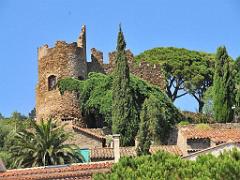 183 D24 BORMES LES MIMOSAS 2_000019